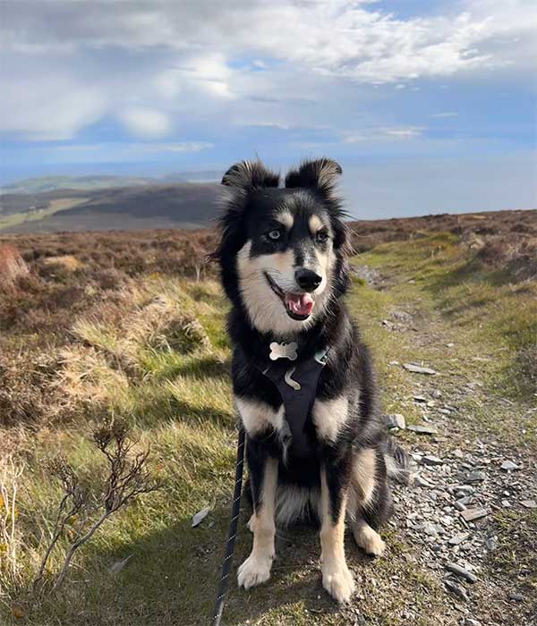 Blu atop Cronk Ny Arrey Laa | Isle of Man