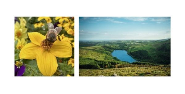 Nature on the Isle of Man