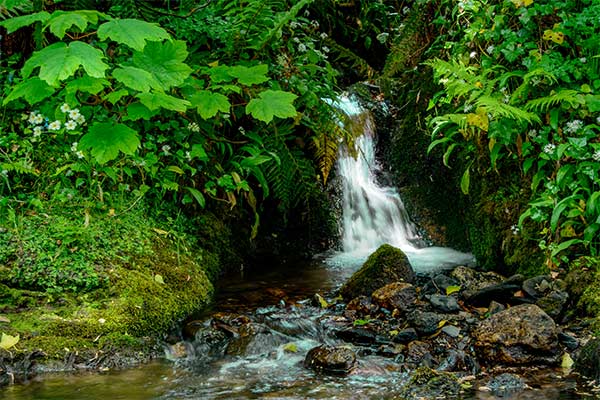 Glen Maye Waterfall