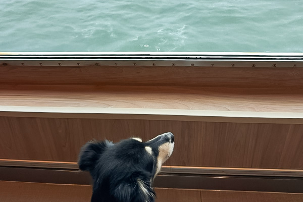 Blu aboard the Manxman