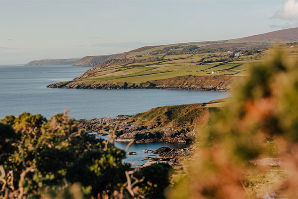 Looking along the coast at Maughold Head