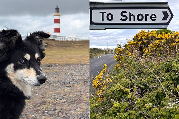 Point of Ayre Lighthouse | Isle of Man